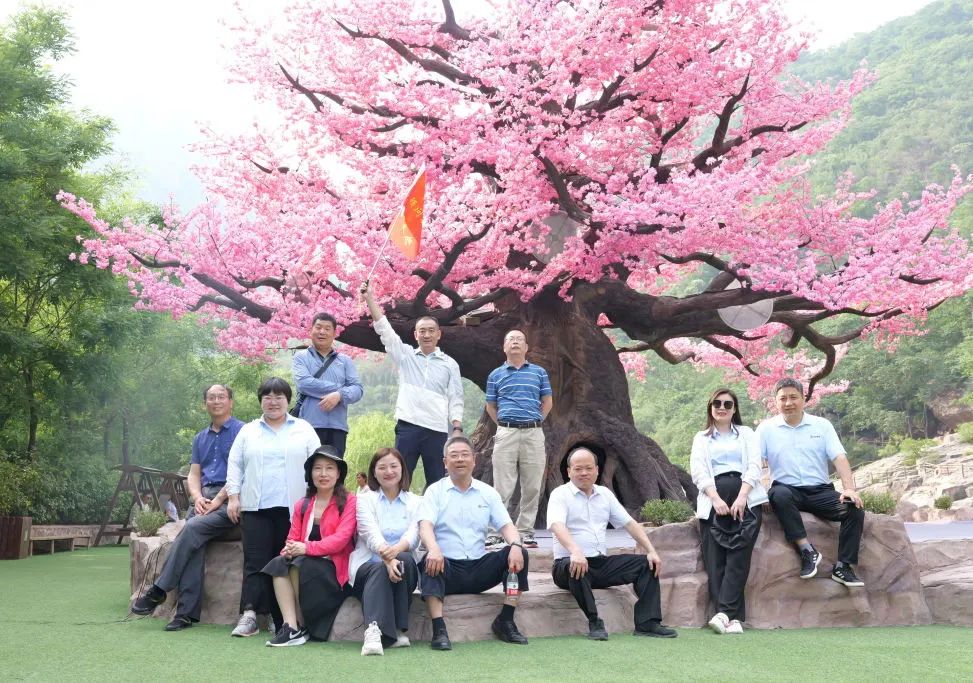 1716537066978597.jpg 1716537066978597.jpg